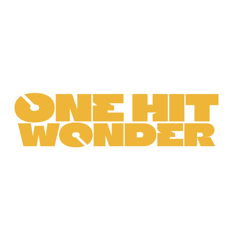 ONE HIT WONDER