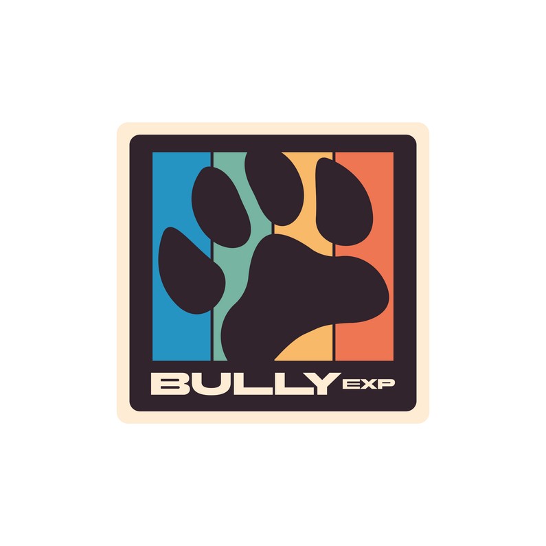 BULLYEXP